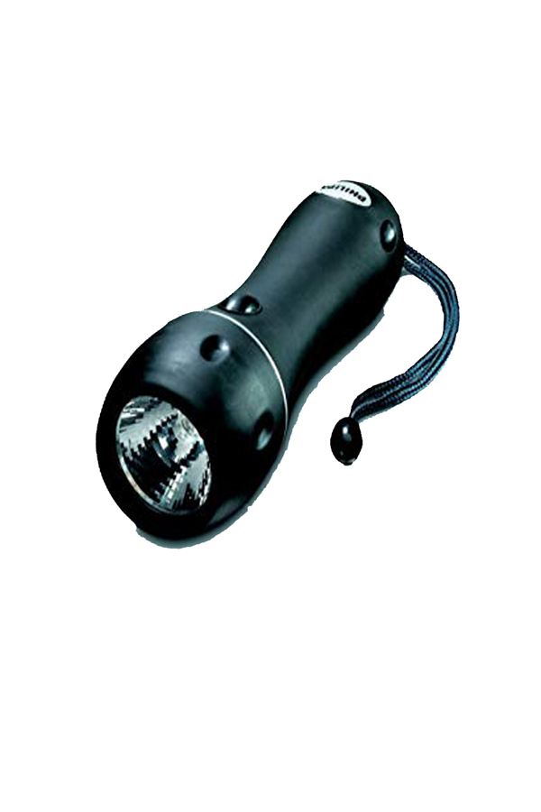 Torch Light